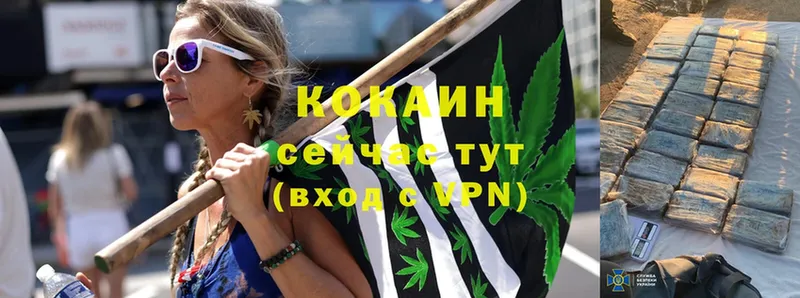 COCAIN VHQ  Нефтекумск 